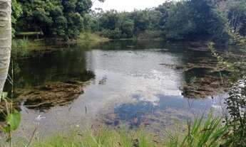 Imagem 7: Rancho 42 hectares em Terenos MS