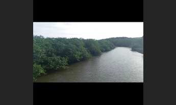 Imagem: Área preservada no litoral da Bahia com