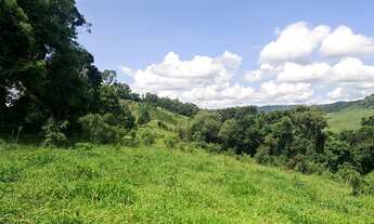 Imagem 4: Terreno com 9 alqueires de terra Em CAMANDUCAIA -MG 80 % aproveitável com nascente própria