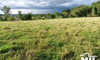 Imagem 3: Chácara em Cromínia-GO. > 5 Alq. (24,2 Há