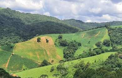 Imagem 3: TERRENO COM 8 ALQUEIRES DE TERRA COM NASCENTE OTIMA LOCALIZAÇÃO