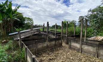 Imagem 6: Excelente oportunidade!!! Vendo ótima fazenda escriturada a 18km de Luziânia