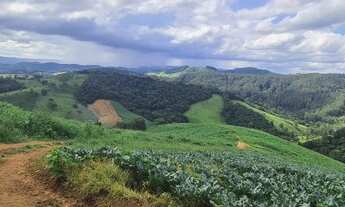 Imagem: TERRENO COM 8 ALQUEIRES DE TERRA COM NASCENTE