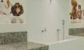 Imagem 4: AUTÊNTICO BATISTA CAMPOS