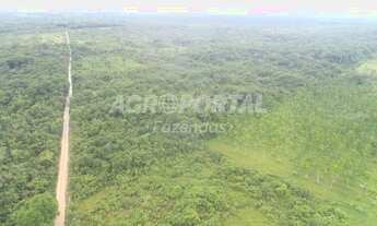 Imagem 7: Fazenda no Pará - São Francisco do Pará