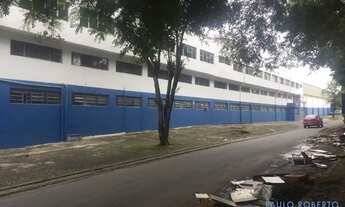 Imagem 3: GALPÃO - VILA NOVA CUMBICA - SP