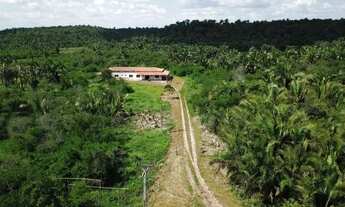 Imagem 2: Vendo fazenda com 700 hectares