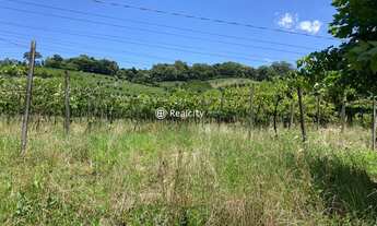 Imagem 5: GARIBALDI - Padrão - Interior