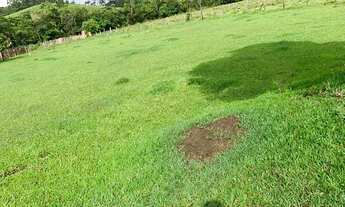 Imagem 5: VC - Vendo Terreno com ruas abertas !!!