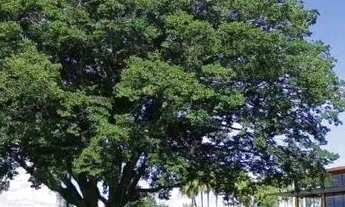 Imagem 6: Terreno à venda, 500 m² por R$ 420.840,00 - Condomínio Residencial Ecopark Bourbon - Caça