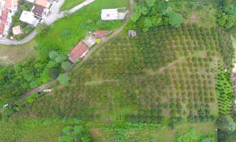 Imagem 5: Lote com 13.450m2 e excelente topografia - Nova Friburgo