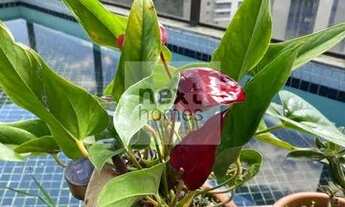 Imagem 5: Espetácular apto de 03 dorms sendo 02 suites , com piscina na varanda no Morumbi