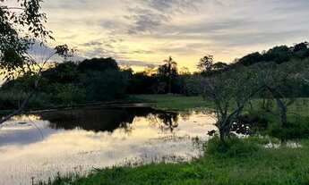 Imagem 6: Sítio com cabana contemporânea meia hectare com açude