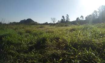 Imagem 4: Áreas de terra para plantio