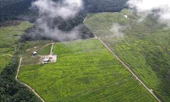 Imagem 3: Você quer comprar uma Fazenda 1.887 HECTARES EM TOMÉ AÇU