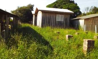 Imagem 4: Casas paara venda