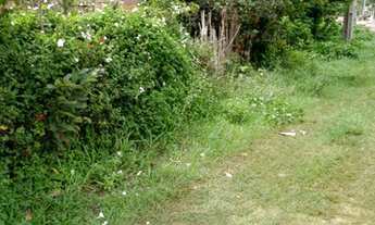 Imagem 6: Lote/Terreno para venda com 900 metros quadrados em Moropóia - São José de Ribamar - MA