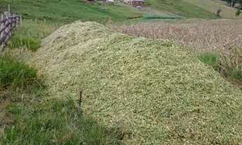 Imagem 3: VENDO LINDO SITIO - 6 HECTARES