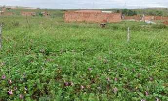 Imagem: Terreno Barrama na taiba