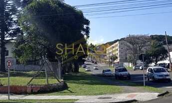 Imagem 4: Terreno Comercial / Alto da Rua XV