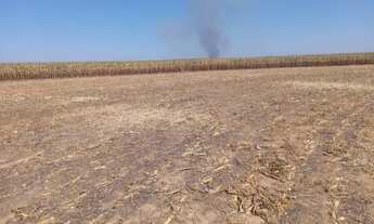 Imagem 7: OPORTUNIDADE <br>Fazenda de 497 hectares no Município de Pirapora MG
