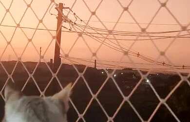 Imagem 6: Casa Casa com 3 dormitórios