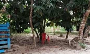 Imagem 2: Vende-se uma chácara bem localizada