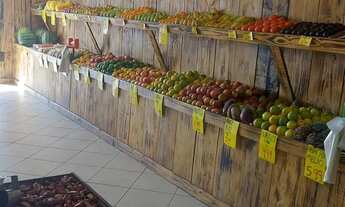 Imagem 6: Vendo Hortifruti