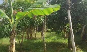 Imagem 2: Casa para vender no bairro Soledade na rua José Barbosa Ramos, 127