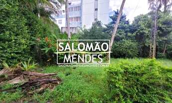 Imagem 3: Imóvel comercial próximo ao Pátio Belém, 800m2, 19mts de frente