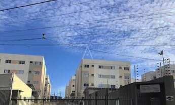 Imagem: Apartamento lindo com 2 quartos Jardim Concordia