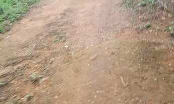 Imagem 2: Casa com 02 quartos Bairro Cardoso Aparecida de Goiânia