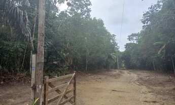 Imagem 4: Vendo lotes pra chácara