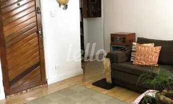 Imagem: São Paulo - Apartamento Padrão - Cambuci