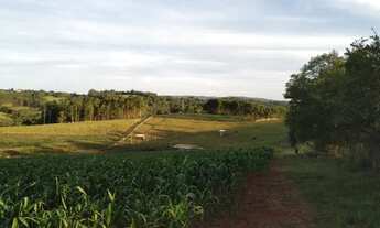 Imagem: VENDO LINDO SITIO - 6 HECTARES