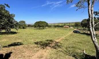 Imagem 5: Chácara 5.8 ha; Parreiral; porteira fechada