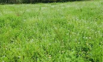 Imagem: 48ON-1V3HI20