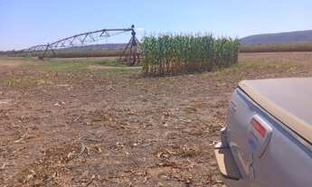 Imagem 2: OPORTUNIDADE <br>Fazenda de 497 hectares no Município de Pirapora MG