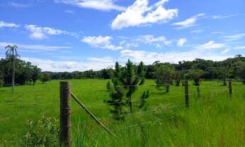 Imagem 6: Fazenda 25 alqueires Plana ( Willian Ricardo