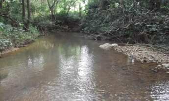 Imagem 3: Lindo baixadão de 4.5 ha, as margens do rio. Jaboticatubas (Temos varias opções)