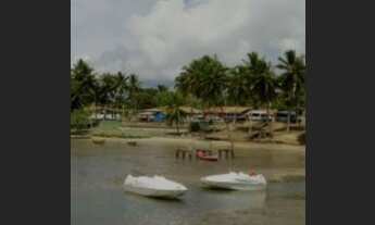 Imagem 3: Terreno com 122 lotes (Loteamento) na Ribeira em Mangue-Seco