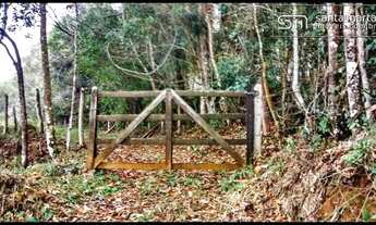 Imagem 4: SÍTIO CASA SIMPLES/CÓRREGO/VISTA PANORÂMICA SILVEIRAS SP
