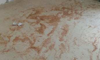 Imagem 5: Casa Santos Dumont 3 quartos sendo 1 suite