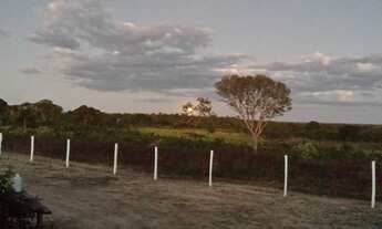 Imagem 3: Oportunidade! Vende-se uma fazenda de 430 hectares