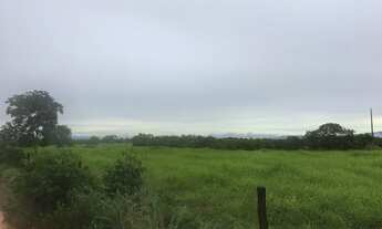 Imagem 7: Vende-se uma excelente fazenda de 610 Alqueires