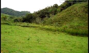 Imagem 2: SÍTIO PARA LEITE/LAZER ÓTIMA LOCALIZAÇÃO - BANANAL SP