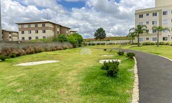 Imagem 4: APARTAMENTO TÉRREO NO BAIRRO SANTO ANTÔNIO EM SAO JOSE DOS PINHAIS!