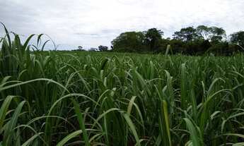 Imagem: Fazenda em santa cruz da esperança 51 alqueires