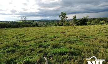 Imagem 4: Chácara em Cromínia-GO. > 5 Alq. (24,2 Há