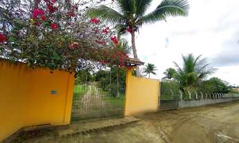 Imagem: Sítio com Sete tarefas e meia na matinha